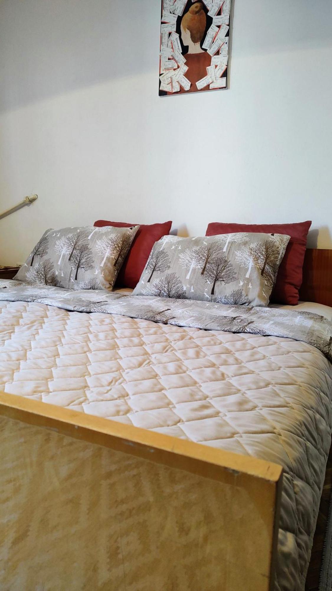 Digital Nomad Comfy Apartment,Foot Mountain Vodno And Millennium Cross,19 Min By Walk To Cener,Free Parking Skopje Ngoại thất bức ảnh